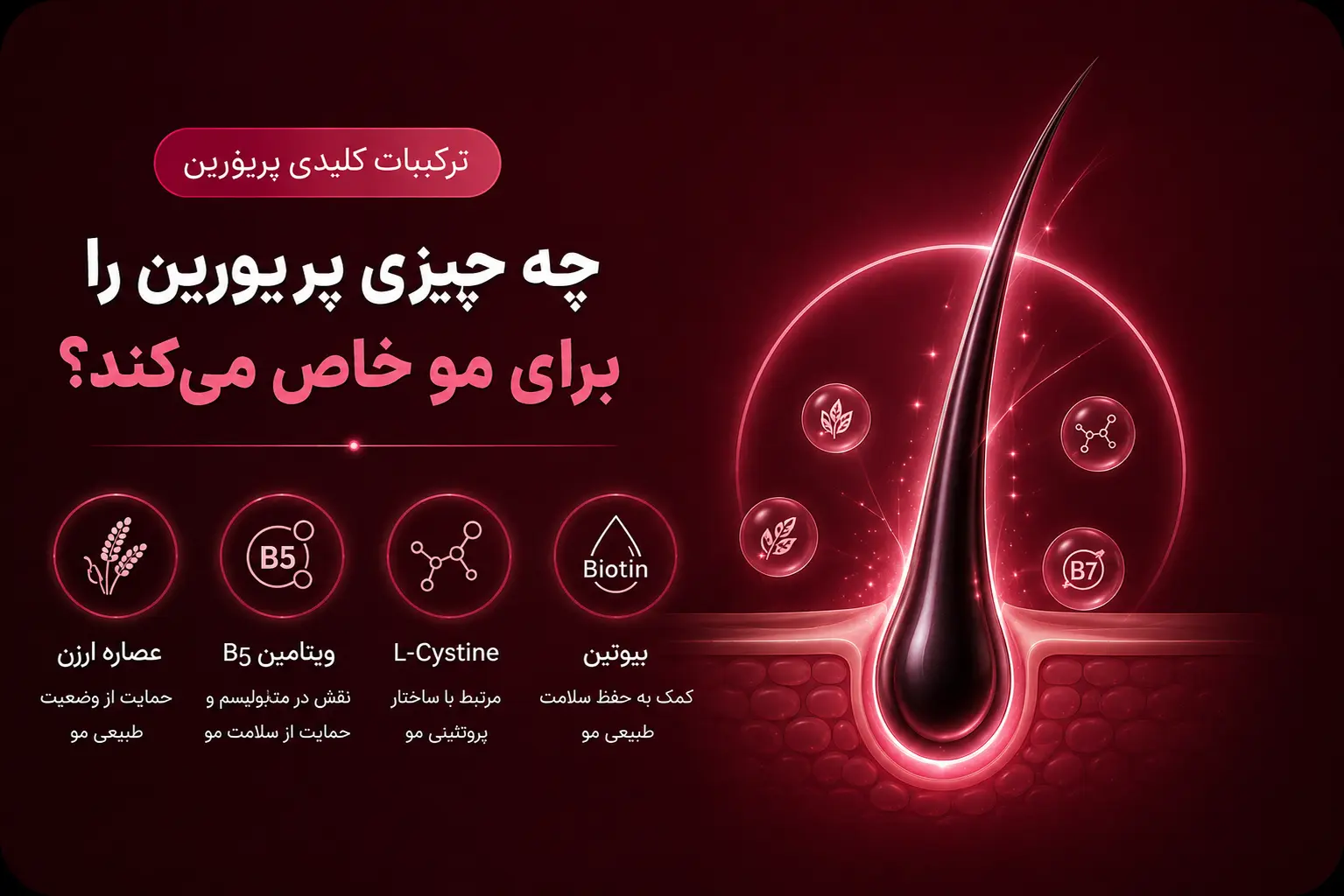 ترکیبات کلیدی پریورین